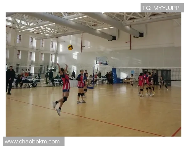 2026排球配合排行榜：武汉排球队位居第4名