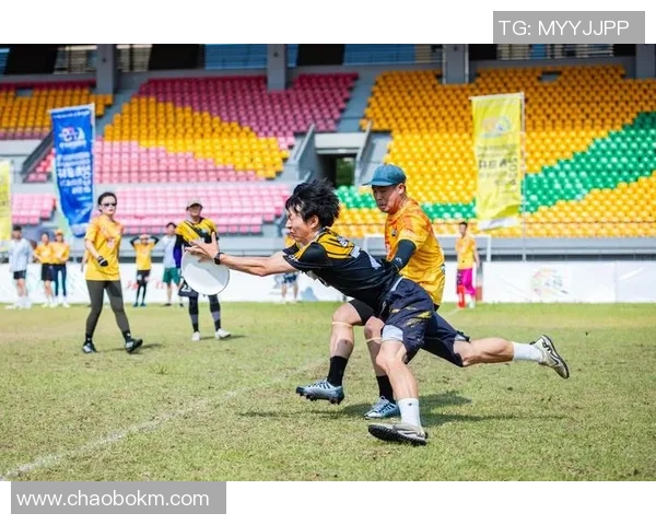 2026飞盘配合排行榜：西安飞盘队位居第2名